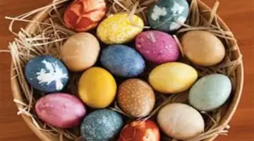 شم النسيم بعيداً عن الحدائق.. أفضل أماكن للتنزه في القاهرة